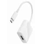 USB Type-C to DisplayPort (Female) Adapter