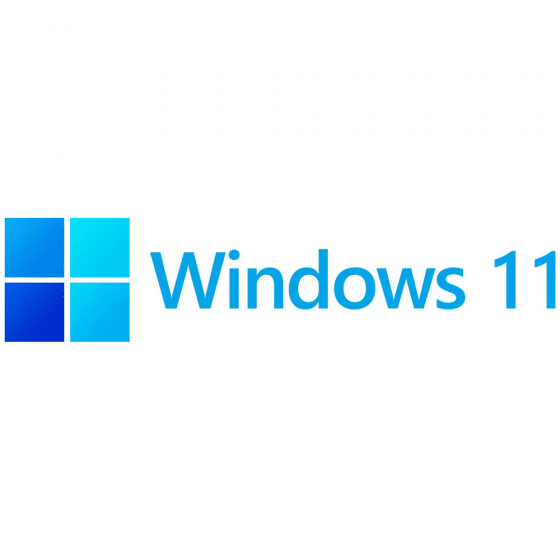 Windows 11 Pro OEM DVD Pack